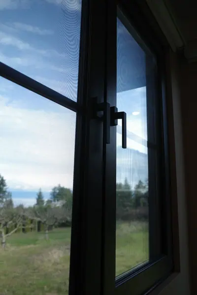 Black window frame and handle with the lawn and ocean beyond